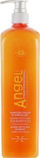 Шампунь для окрашенных волос Angel Marine Depth SPA Shampoo Coloured Hair, 1000 мл